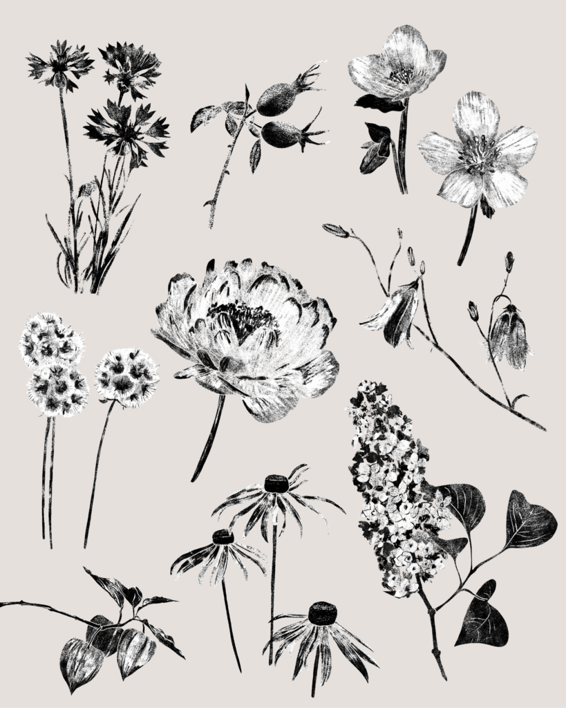 Slowflower Farina Kuklinski