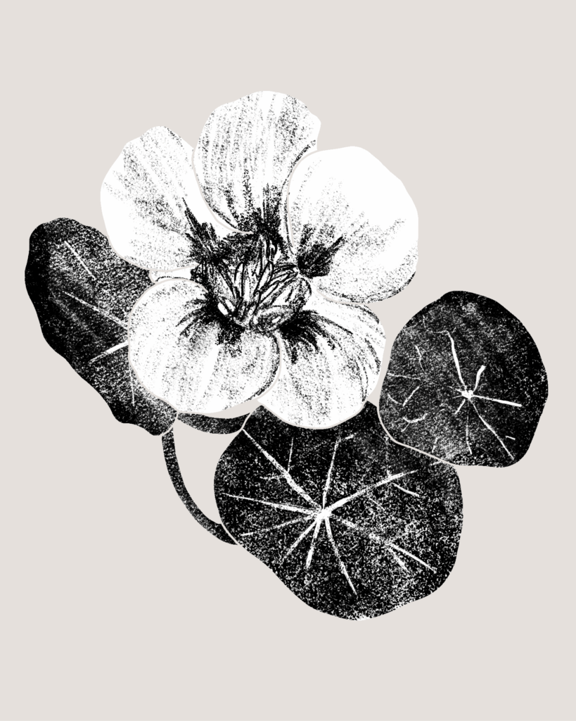 Farina-Kuklinski-Slowflower-Kapuzinerkresse